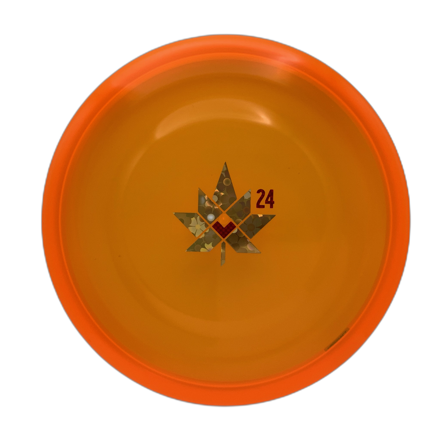 Discraft Zone GT - 2024 World Championships - Astro Discs TX - Houston Disc Golf