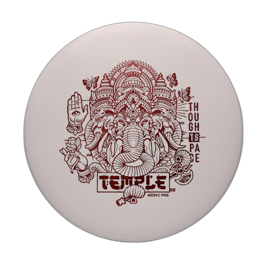 TSA Temple - Astro Discs TX - Houston Disc Golf